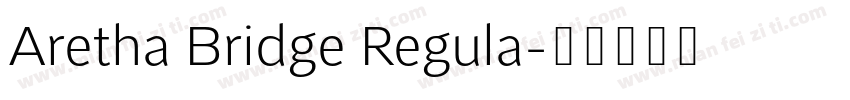 Aretha Bridge Regula字体转换